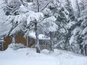 Auberge la Tanière