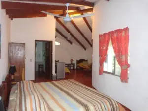 Cabañas Cañas Castilla