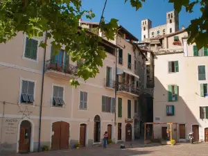 Il libro verde