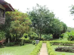 Colinas del Miravalles Hotel & Hot Springs