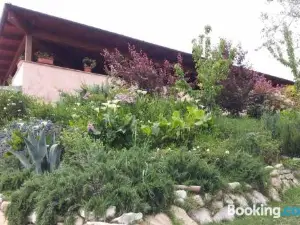 Locazione Turistica in Bilocale Sita in Via Ponte di Ferro 2 b