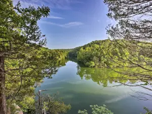 Eureka Springs Cabin Gas Grill and Lake Access!