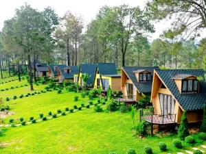 Phoenix Mộc Châu Resort