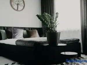 Erta Anykščių Namai