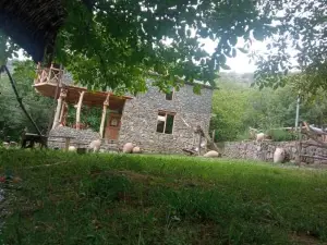 Hors's Home