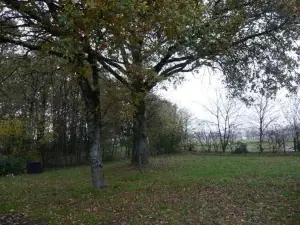 Charmante Maison en Campagne
