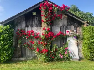 Logement Insolite