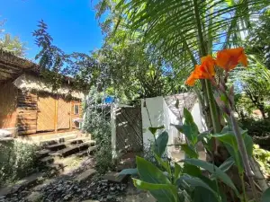 Palapa Hostel