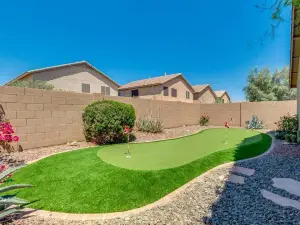 Palmen Maricopa
