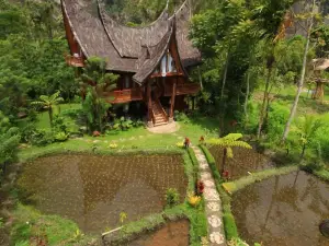 Padi Ecolodge