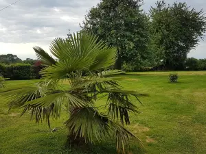 La Brocherie