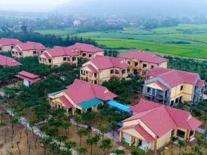 C Resort