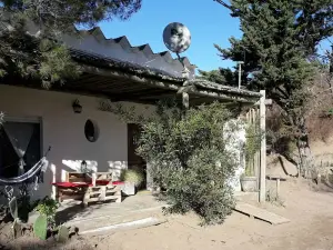 파이야 우에