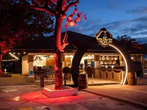 Apollo Aeropods Casobe