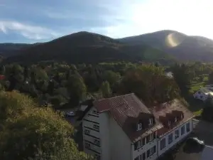 Hotel U Kociana