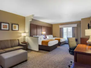 Comfort Suites Marshall