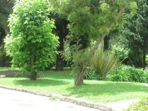 No Meio da Natureza - Turismo No Espaco Rural