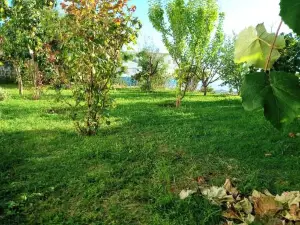 Meti Guest House