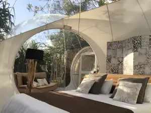 Bubble Lodge Bois Chéri Plantation