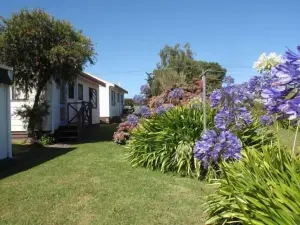 Mountain View Motel, Levin