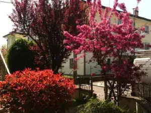 B&B Morosini