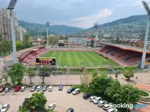 Bilino Polje
