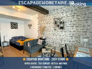 Cosy Studio - 50m du Loing - Hyper-Centre