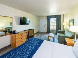 Rodeway Inn