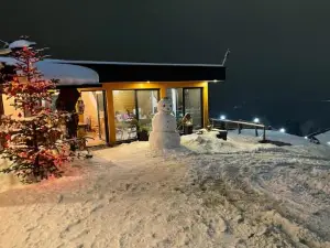 Panoramic Residence