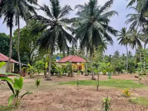 Nature Paradise