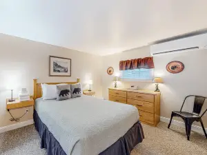 Dog-friendly, mountain-view cabin with shared hot tub, fireplace, & central AC