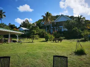 Green Roof Inn