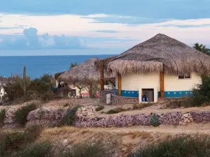 Palapas Ventana