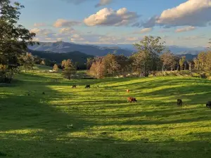 'Infinity Cottage'  - surrounded by orchards, pasture, bush and mountains