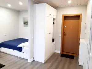Alytus Ziburio Studio