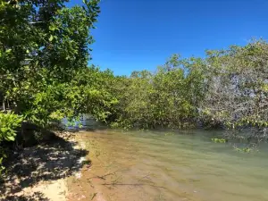 Chalezinho Super Equipado! 50m da água - Mar Doce!