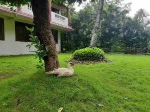 Seawoods Beach Hotel