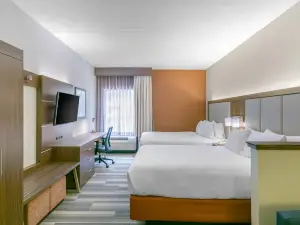 Holiday Inn Express & Suites Mount Arlington-Rockaway Area