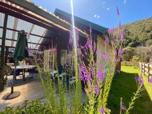 Kahurangi Cottage Wilderness Retreat