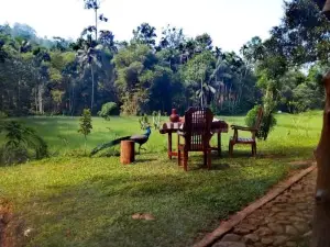 Villa Springwater Dellawa