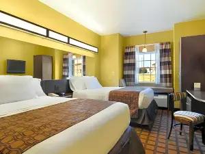 Microtel Inn & Suites by Wyndham Cartersville