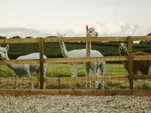 The Hay Barn - Hopewell
