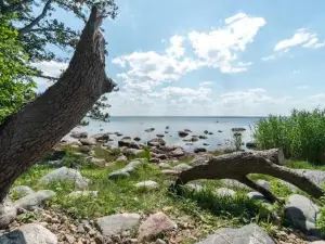 Igluhut on the South Coast of Lohusalu 200m from the Sea!