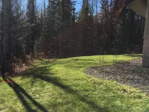 Wildwood Cottage, Duluth, private wooded retreat on the North Shore