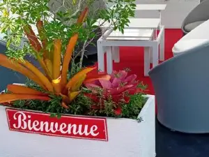 La Sainte Rosienne Pomme Cannelle