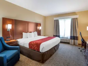 Comfort Suites Fredericksburg North