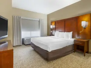 Comfort Suites Wilson - I - 95