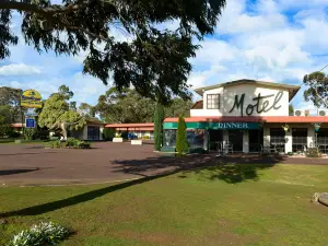 반디쿠트 모터 인 해밀턴