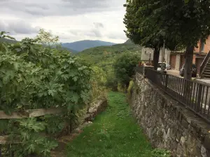 La Fusteria del Casat