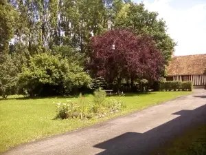 La Ferme des Vignes